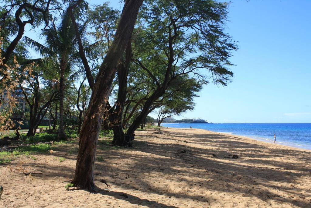 Ocean View One Bedroom At Honua Kai!! Lahaina Ngoại thất bức ảnh